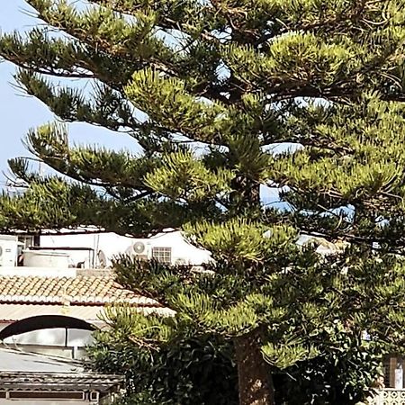 Apartamento Con Playa Del Arenal A Los Pies Platja de Larenal Buitenkant foto