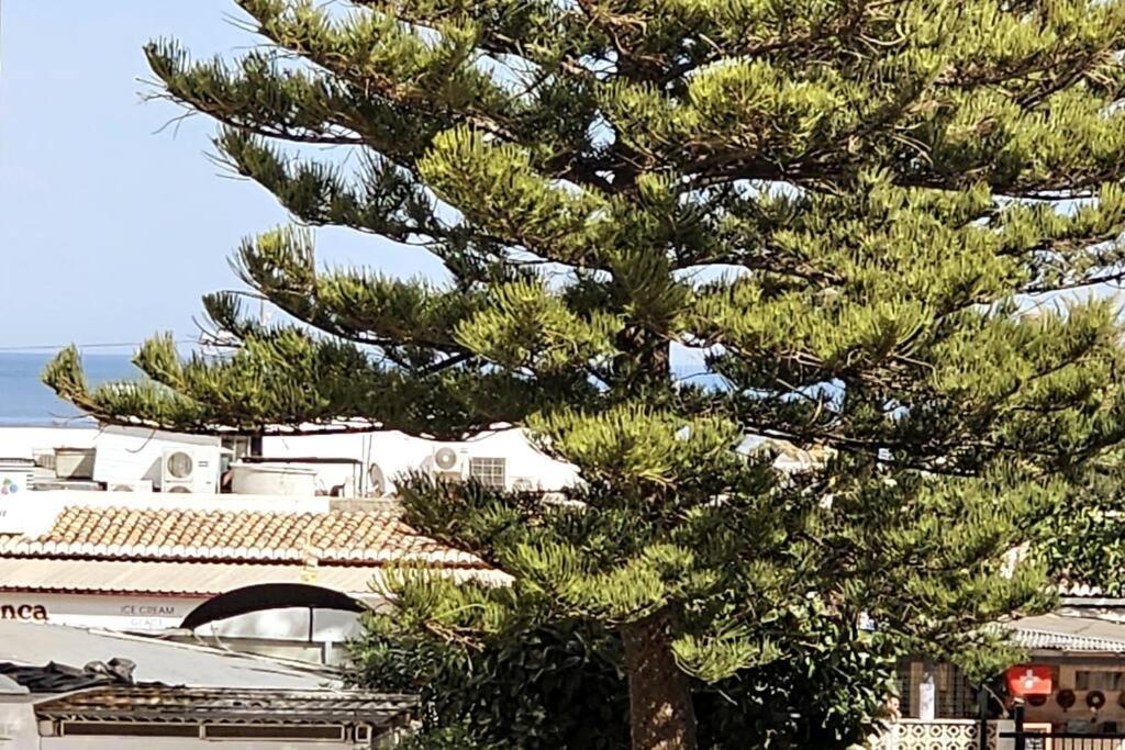 Apartamento Con Playa Del Arenal A Los Pies Platja de Larenal Buitenkant foto